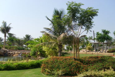 Zabeel Park