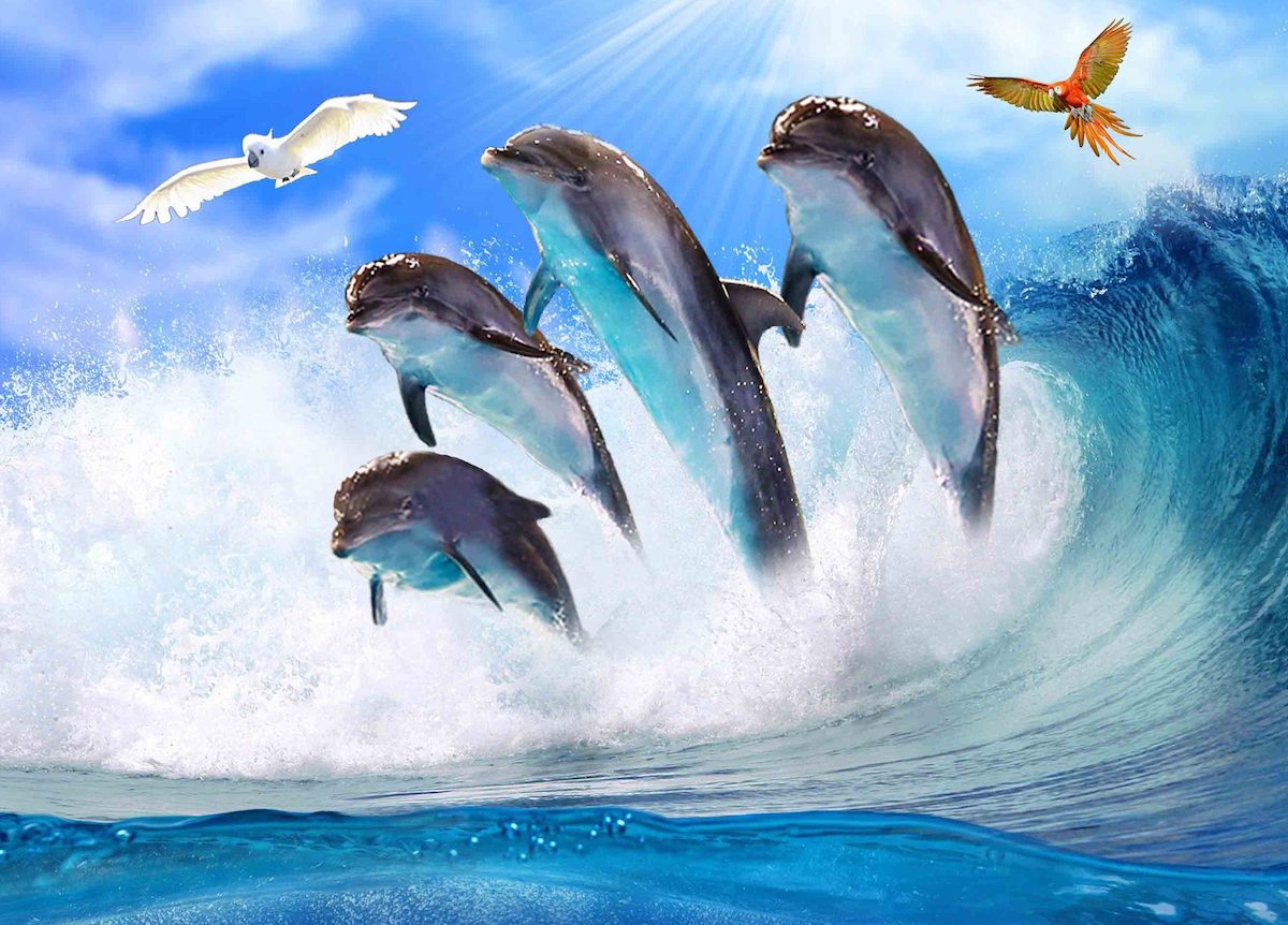 Dubai Dolphinarium