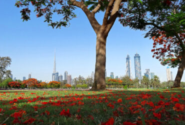 Safa Park