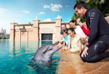 Dolphin Bay