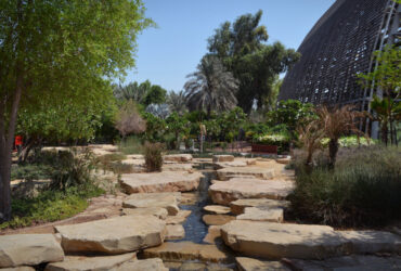 De leukste groene parken in Dubai